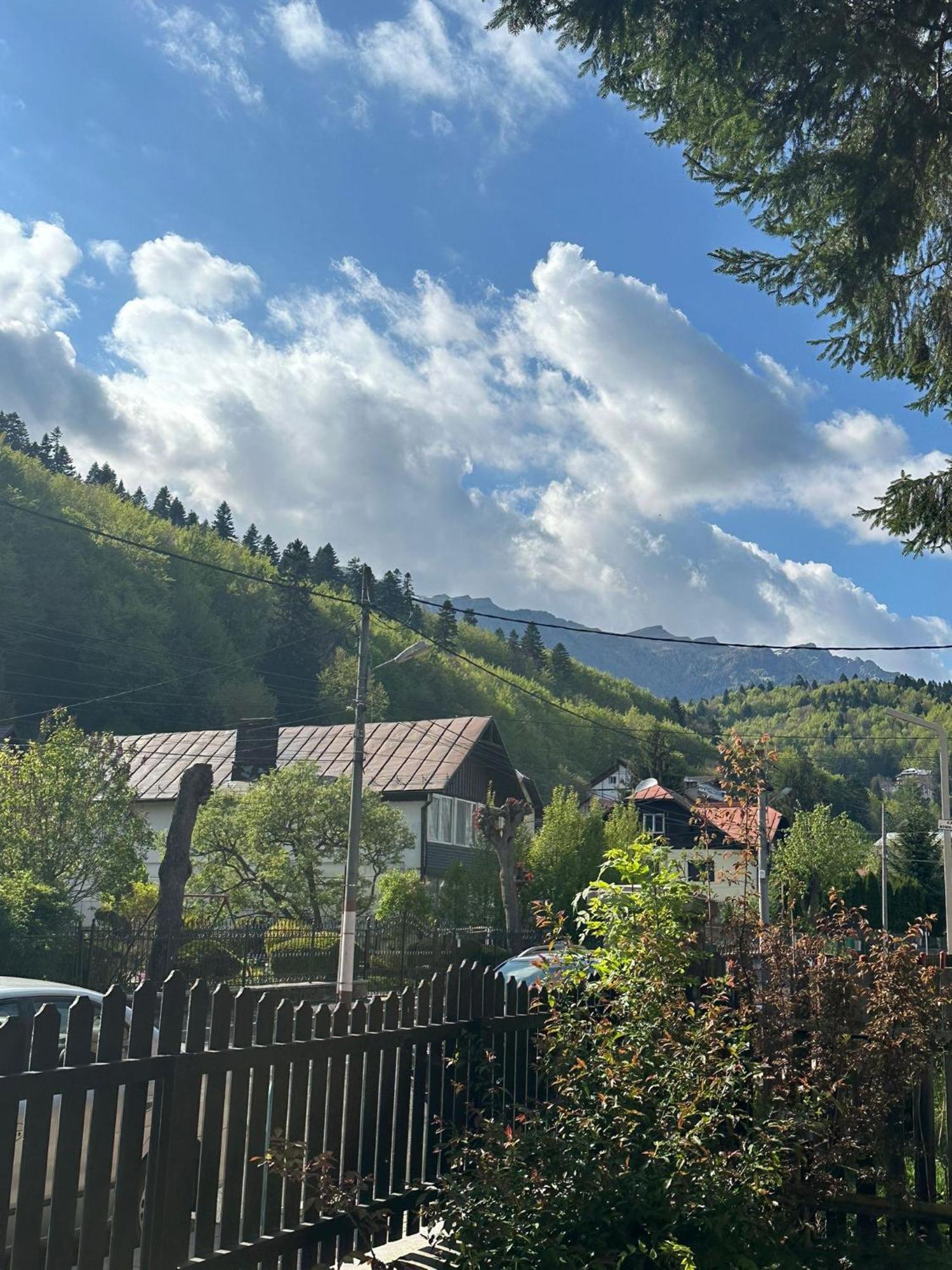 Rapsodia Sinaia Bed & Breakfast Exterior photo