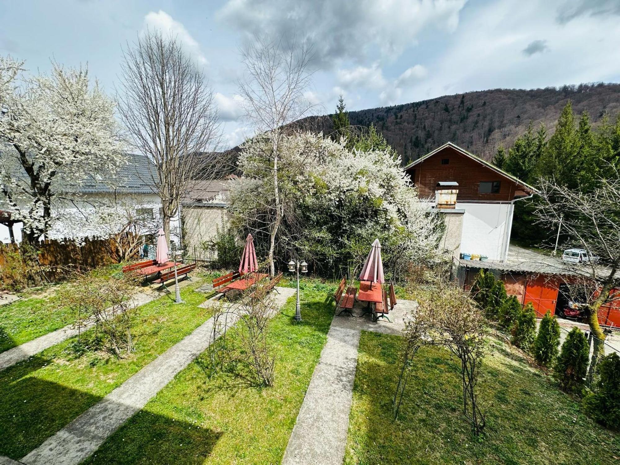 Rapsodia Sinaia Bed & Breakfast Exterior photo