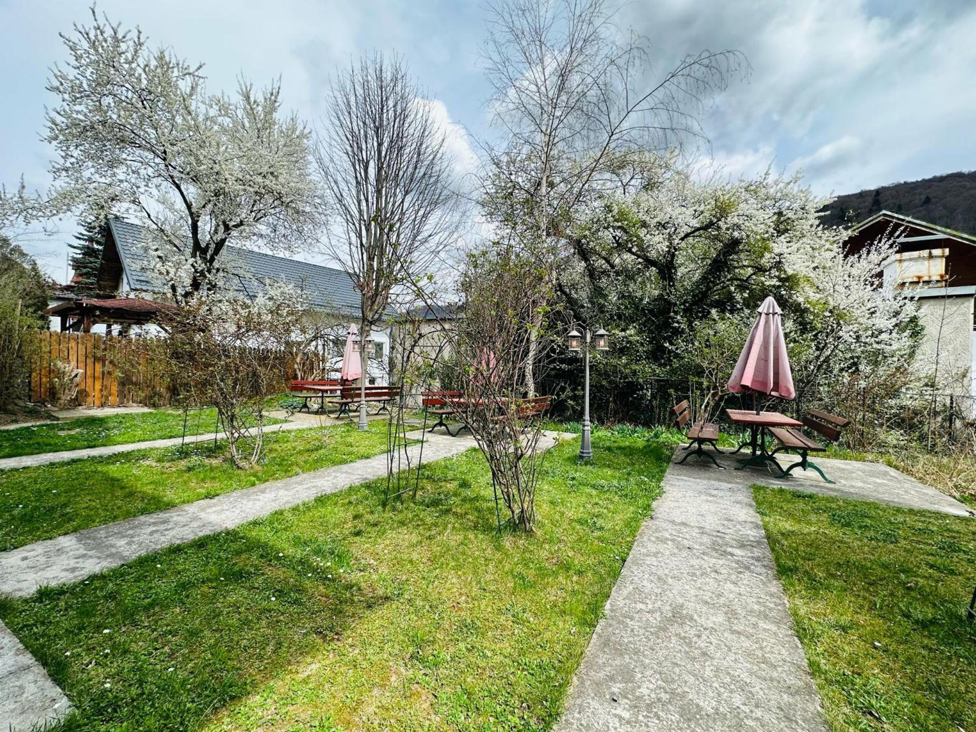 Rapsodia Sinaia Bed & Breakfast Exterior photo